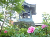 img0027.jpg
