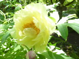 img0029.jpg