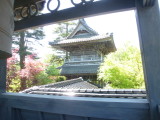 img0045.jpg