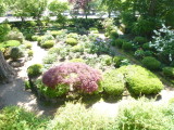 img0046.jpg