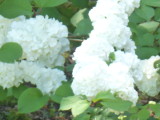 img0047.jpg