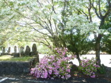 img0053.jpg
