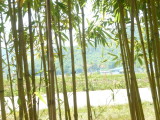 img0062.jpg