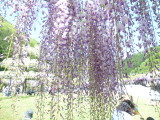 img0065.jpg