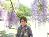 img0066.jpg