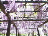 img0068.jpg