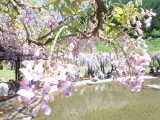 img0070.jpg