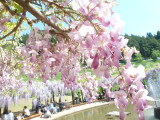img0071.jpg