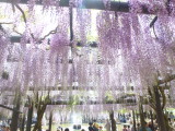 img0072.jpg