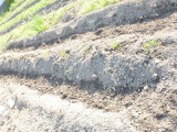 img0077.jpg
