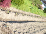 img0078.jpg