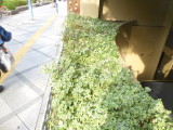 img0000.jpg