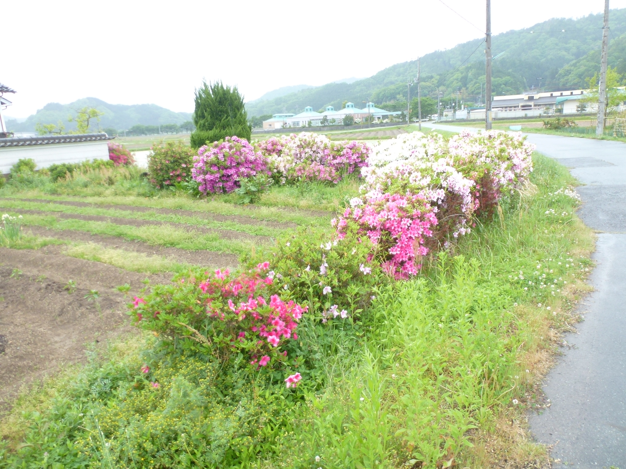 P1110056.JPG