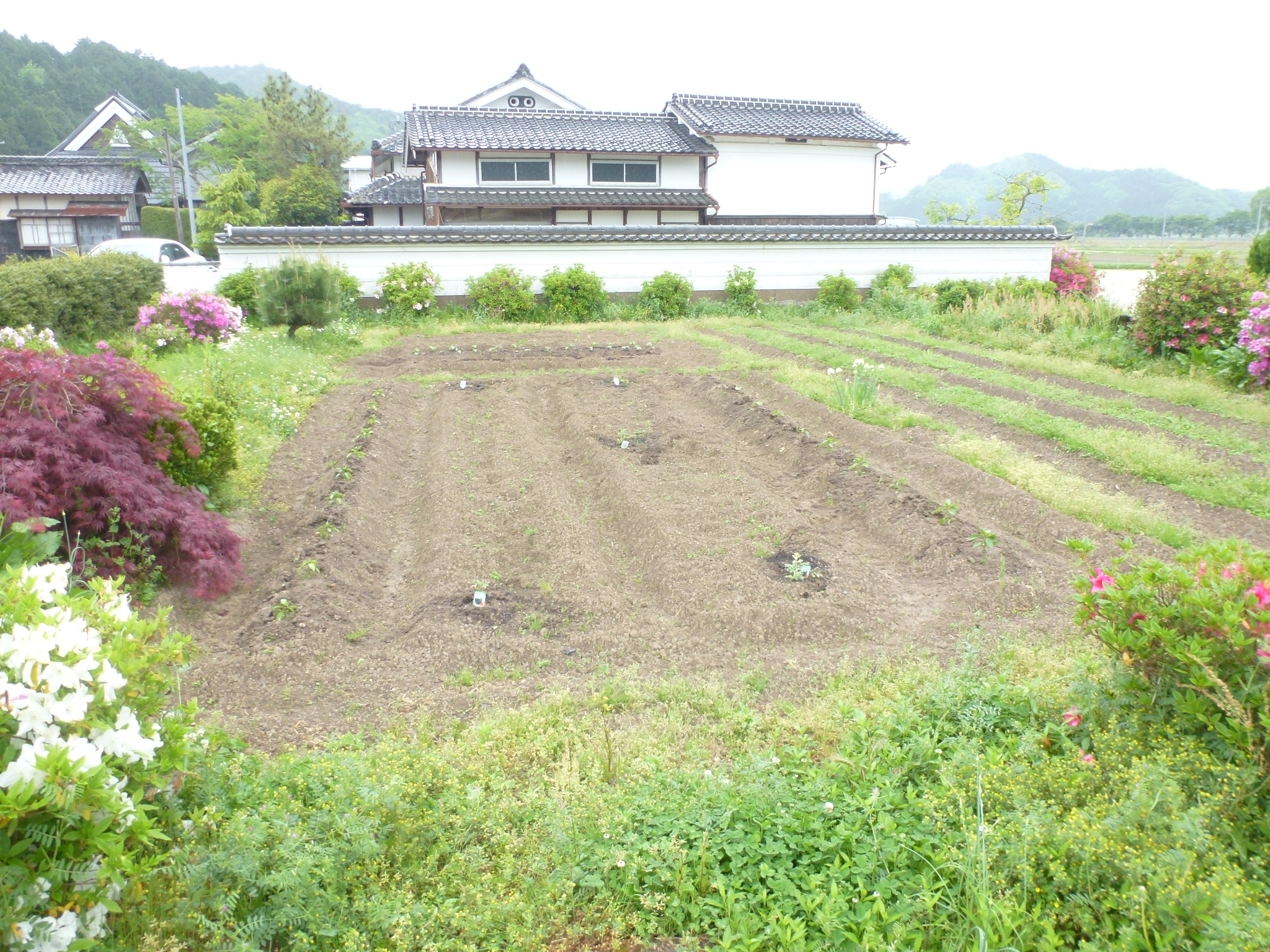 P1110058.JPG