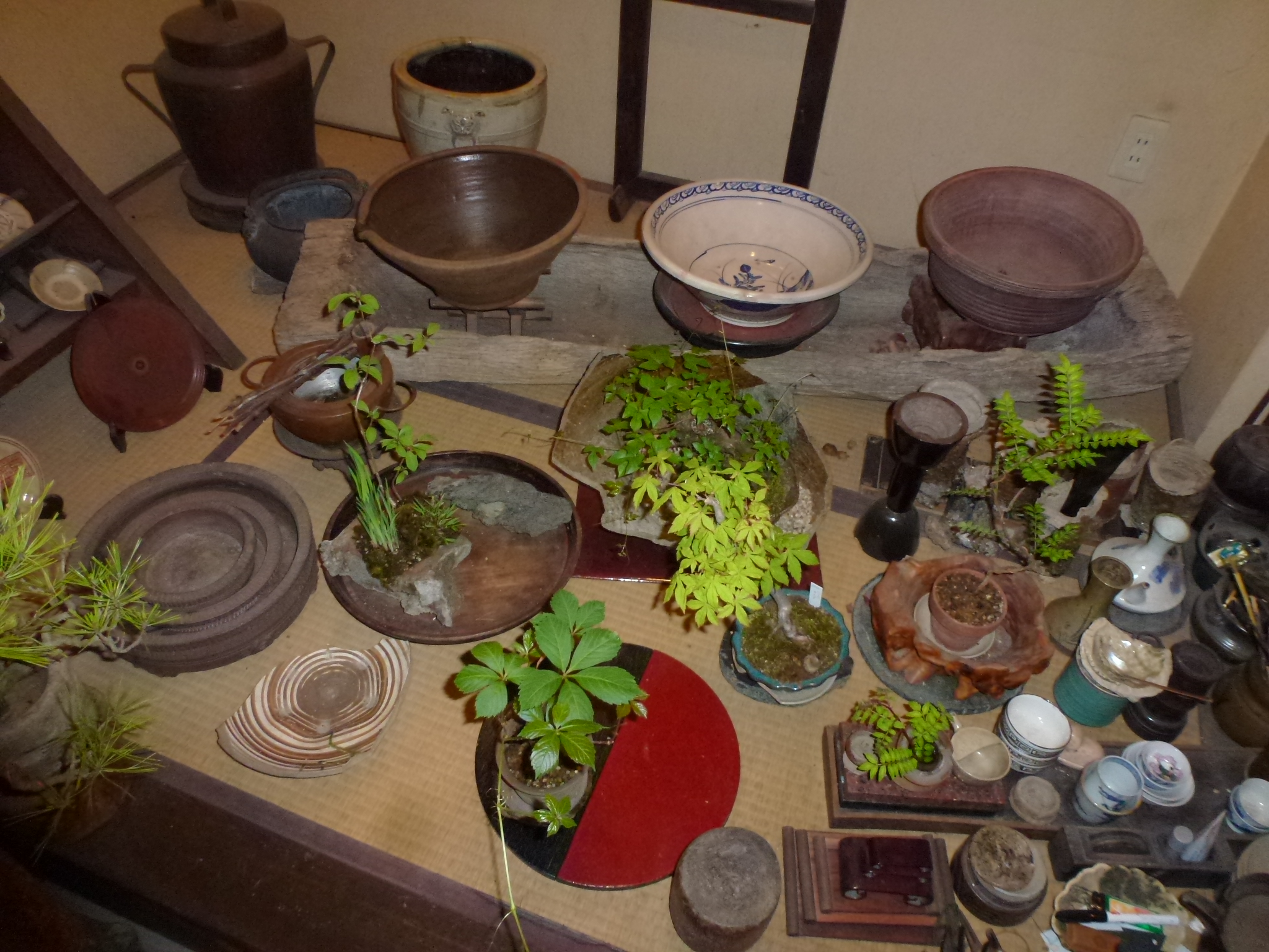 P1110071.JPG
