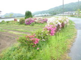 img0006.jpg