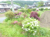 img0007.jpg