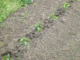img0012.jpg