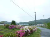 img0016.jpg