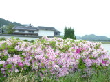 img0017.jpg