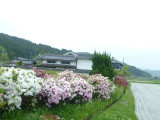 img0018.jpg