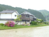 img0019.jpg