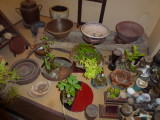 img0021.jpg