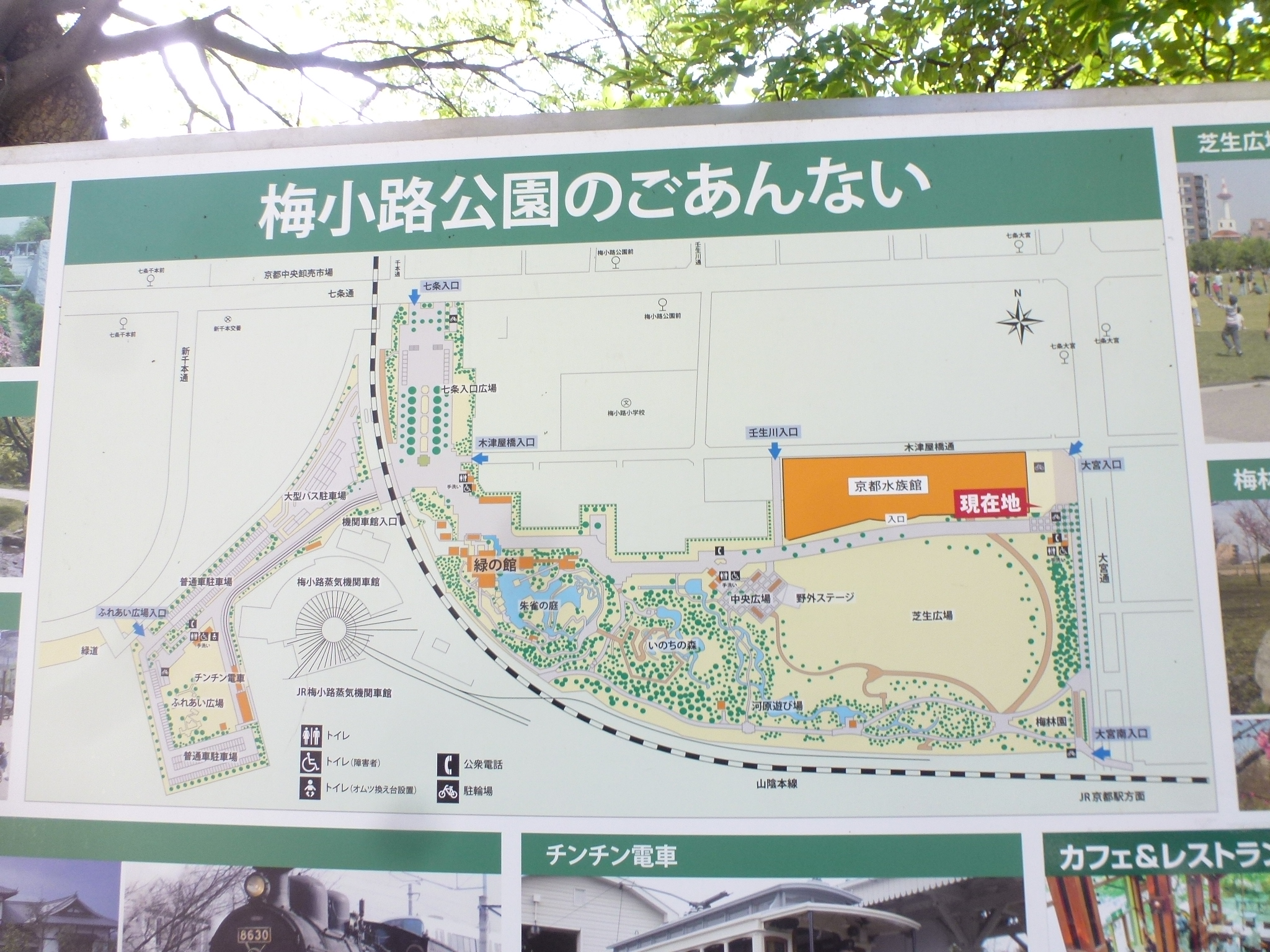 P1110241.JPG