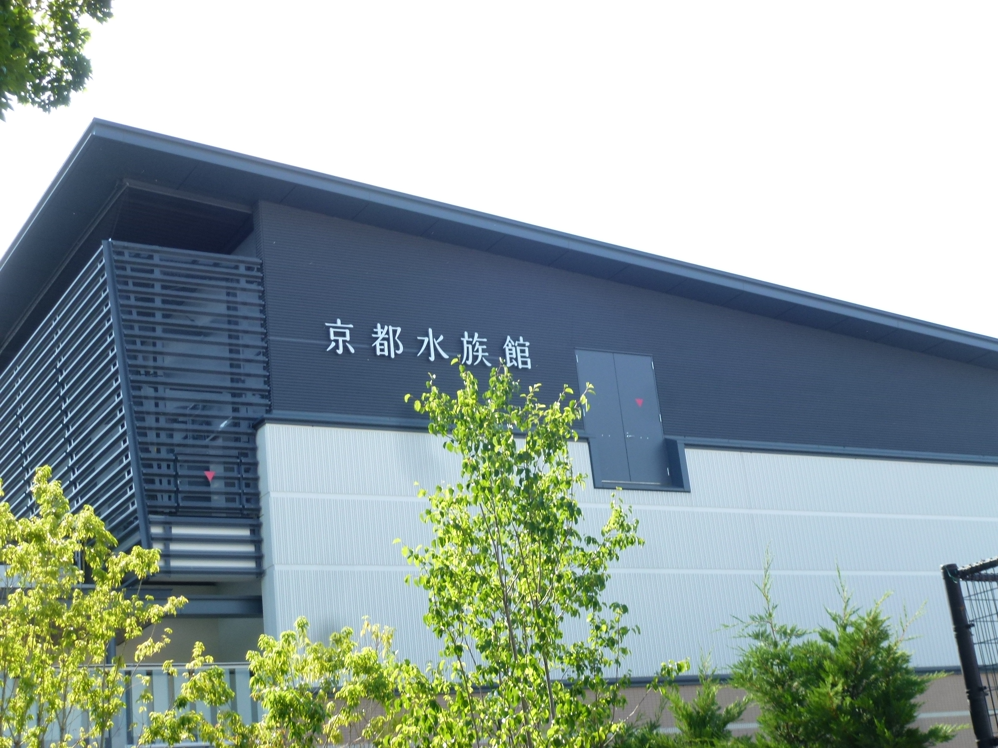 P1110242.JPG