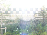 img0002.jpg
