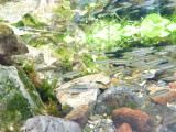 img0005.jpg