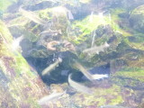 img0008.jpg