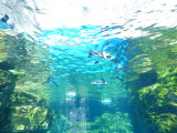 img0009.jpg
