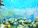 img0014.jpg