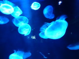 img0016.jpg