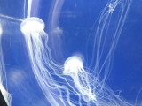 img0019.jpg