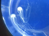 img0020.jpg