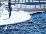 img0021.jpg