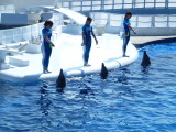 img0024.jpg