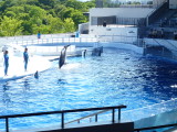 img0025.jpg