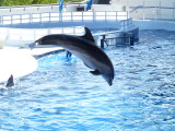 img0026.jpg