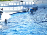 img0027.jpg