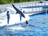 img0029.jpg