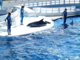 img0030.jpg