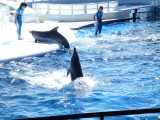 img0032.jpg