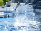 img0033.jpg