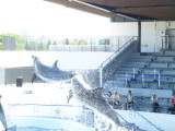img0034.jpg