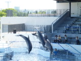 img0036.jpg