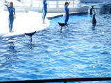img0038.jpg