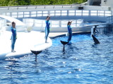 img0039.jpg
